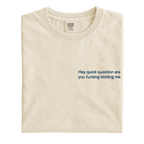 Hey Quick Question Are You Fucking Kidding Me Embroidered T-Shirt