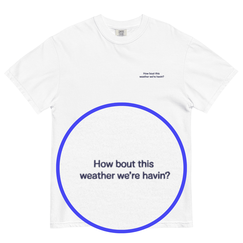How Bout This Weather We're Havin Embroidered Shirt