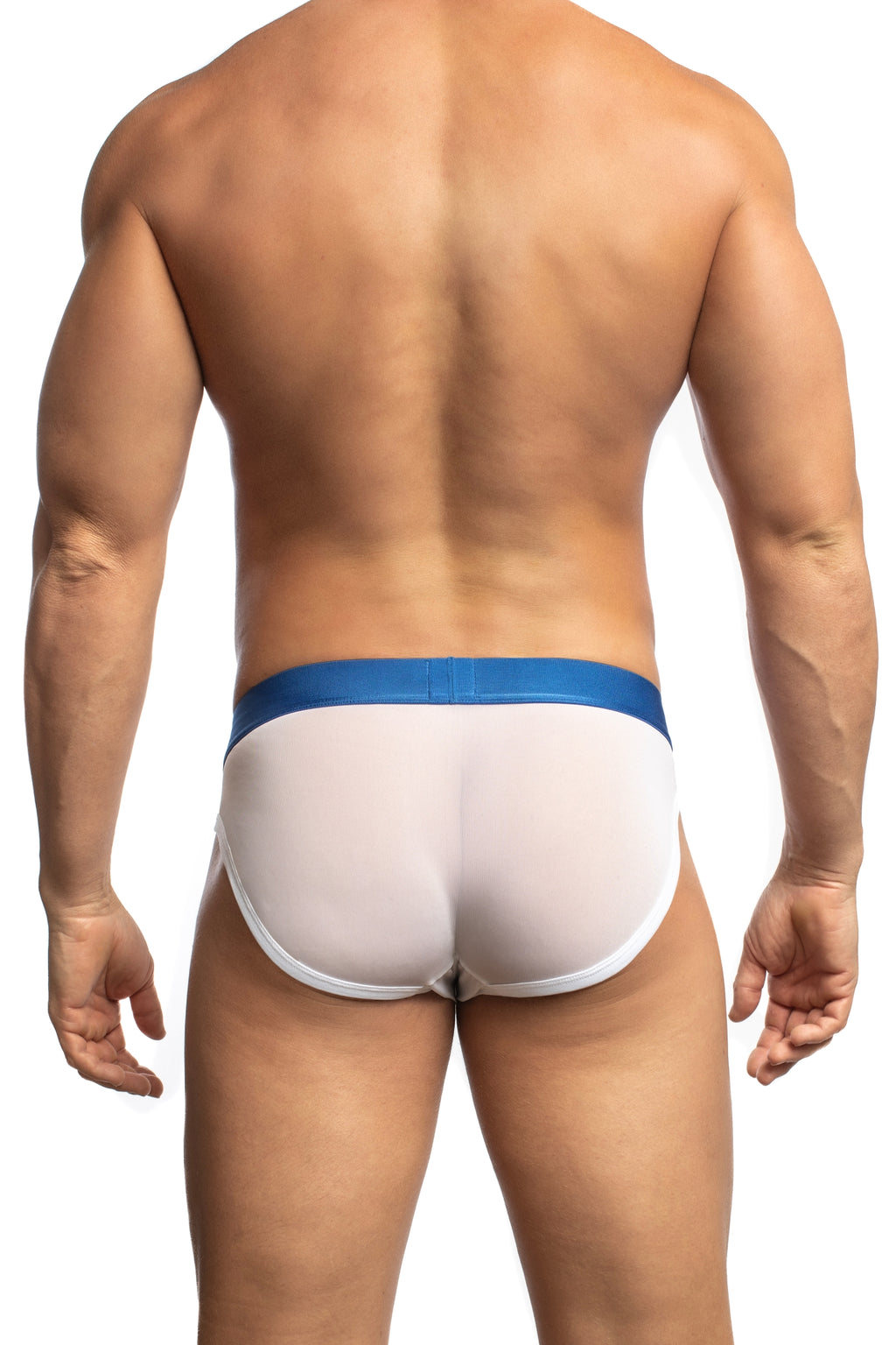 All Over Mesh Brief by Jack Adams in 2 Colors