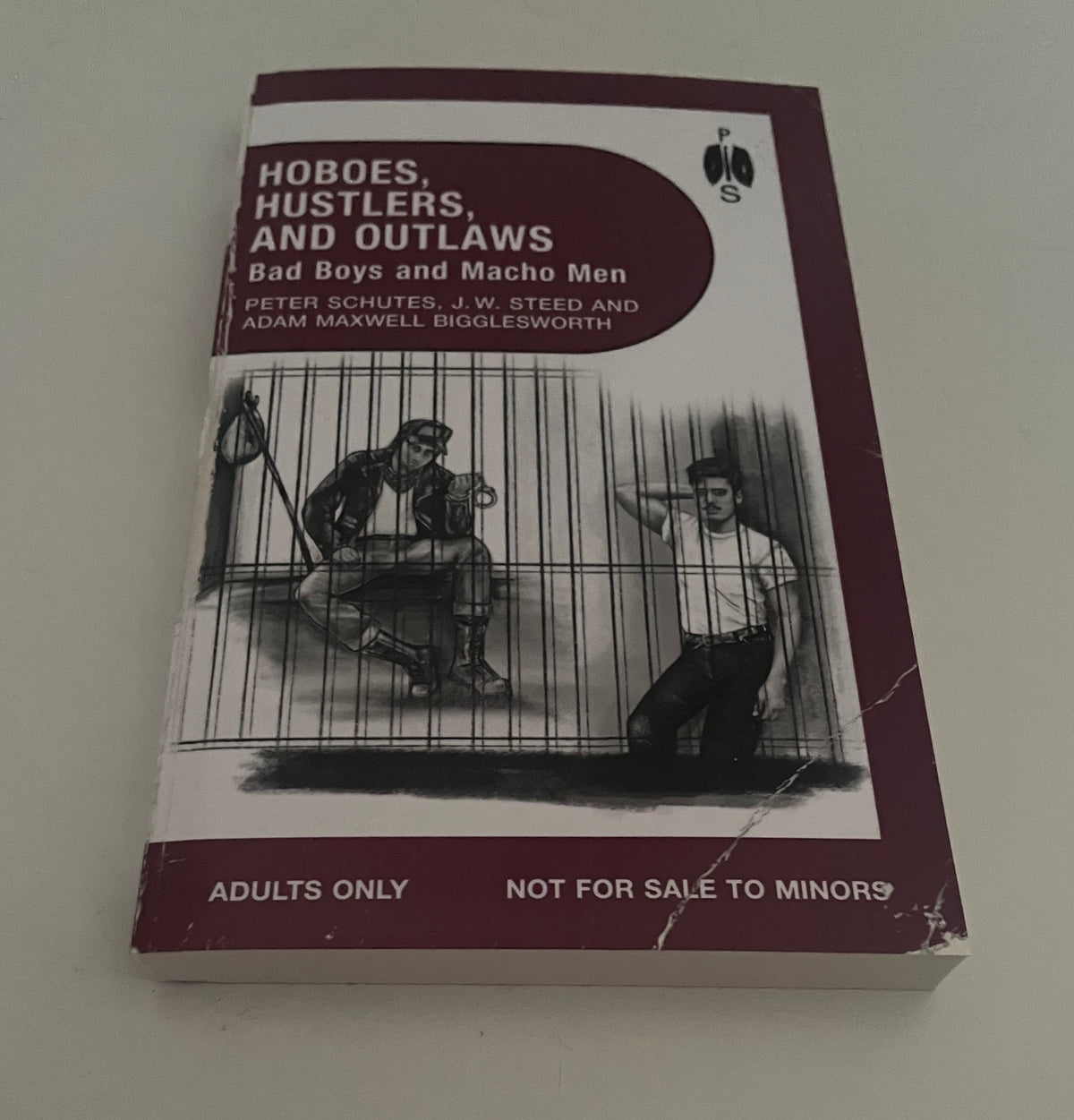 Hoboes, Hustlers, and Outlaws