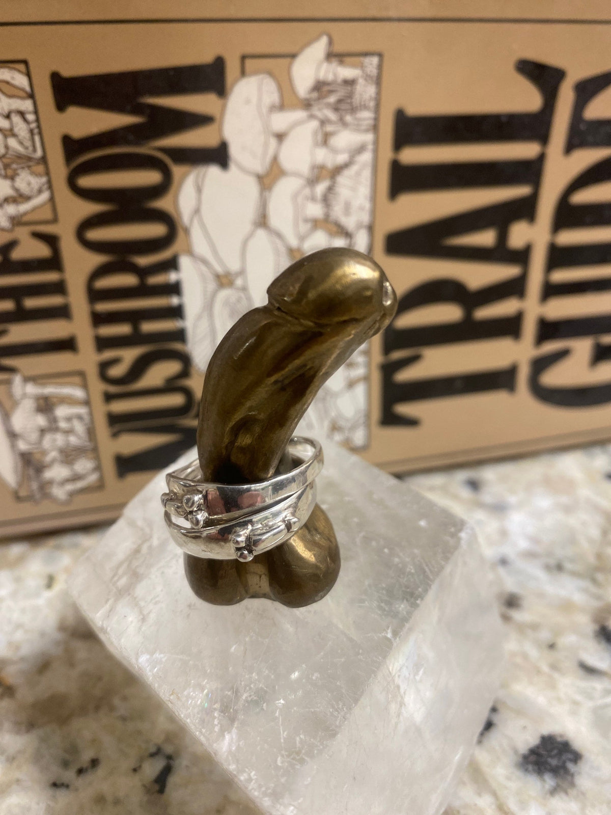 Silver Penis Ring by Gilty Boy