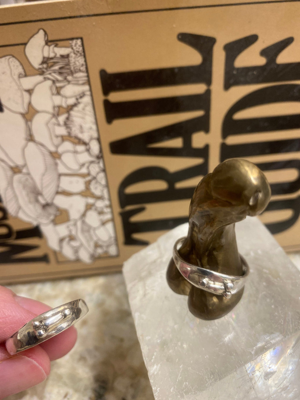 Silver Penis Ring by Gilty Boy