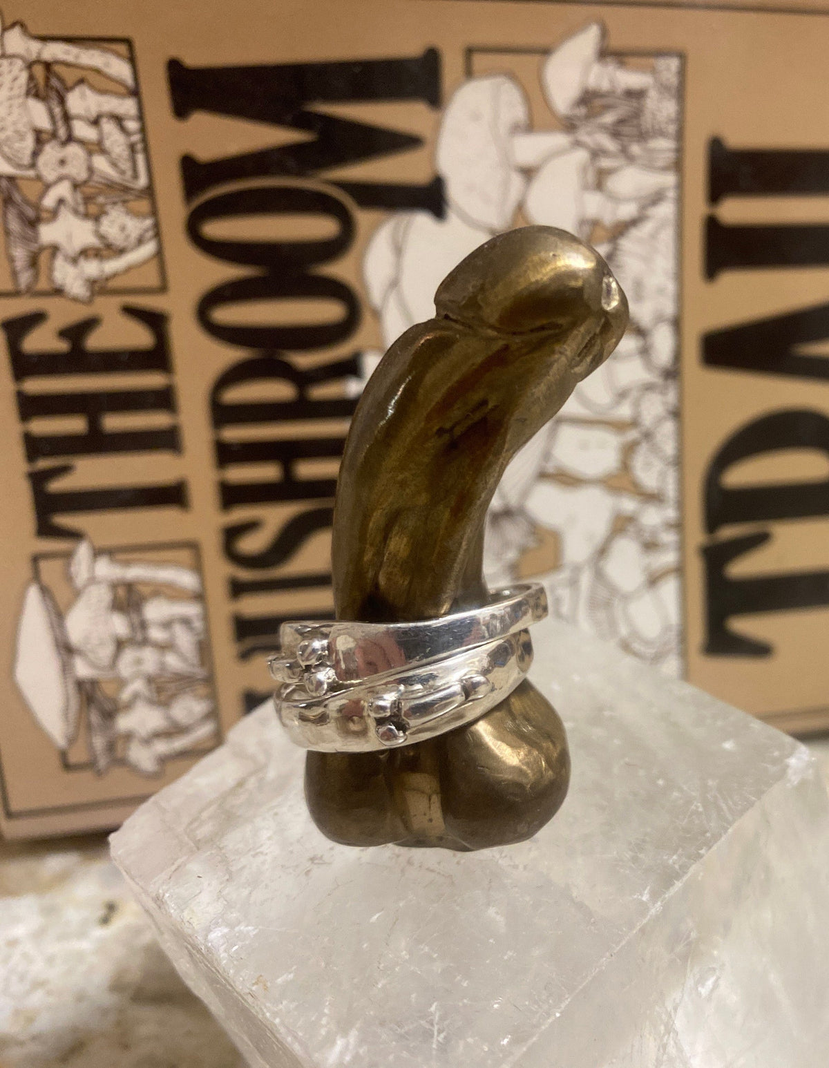 Silver Penis Ring by Gilty Boy