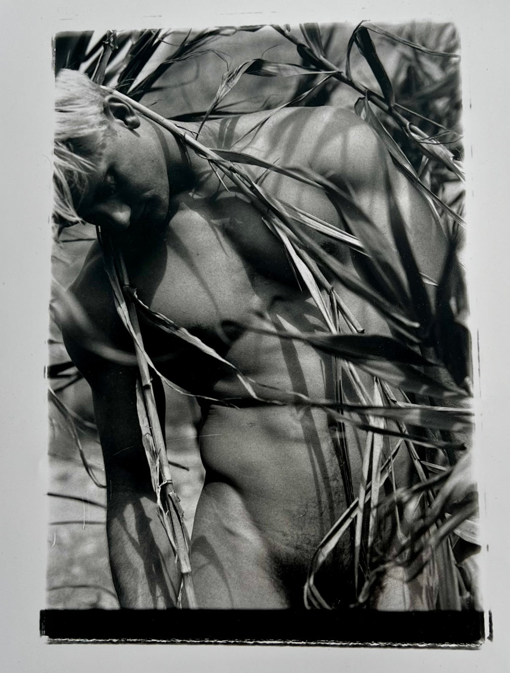 Dmitry Maximov #50