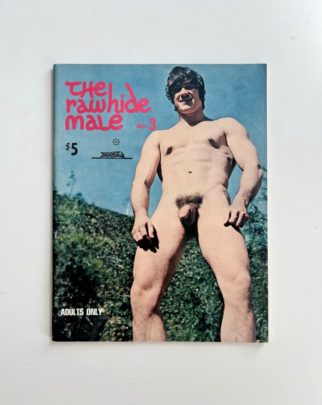 The Rawhide Male No. 3, 1968 — cover with a man standing on a brush-covered hillside