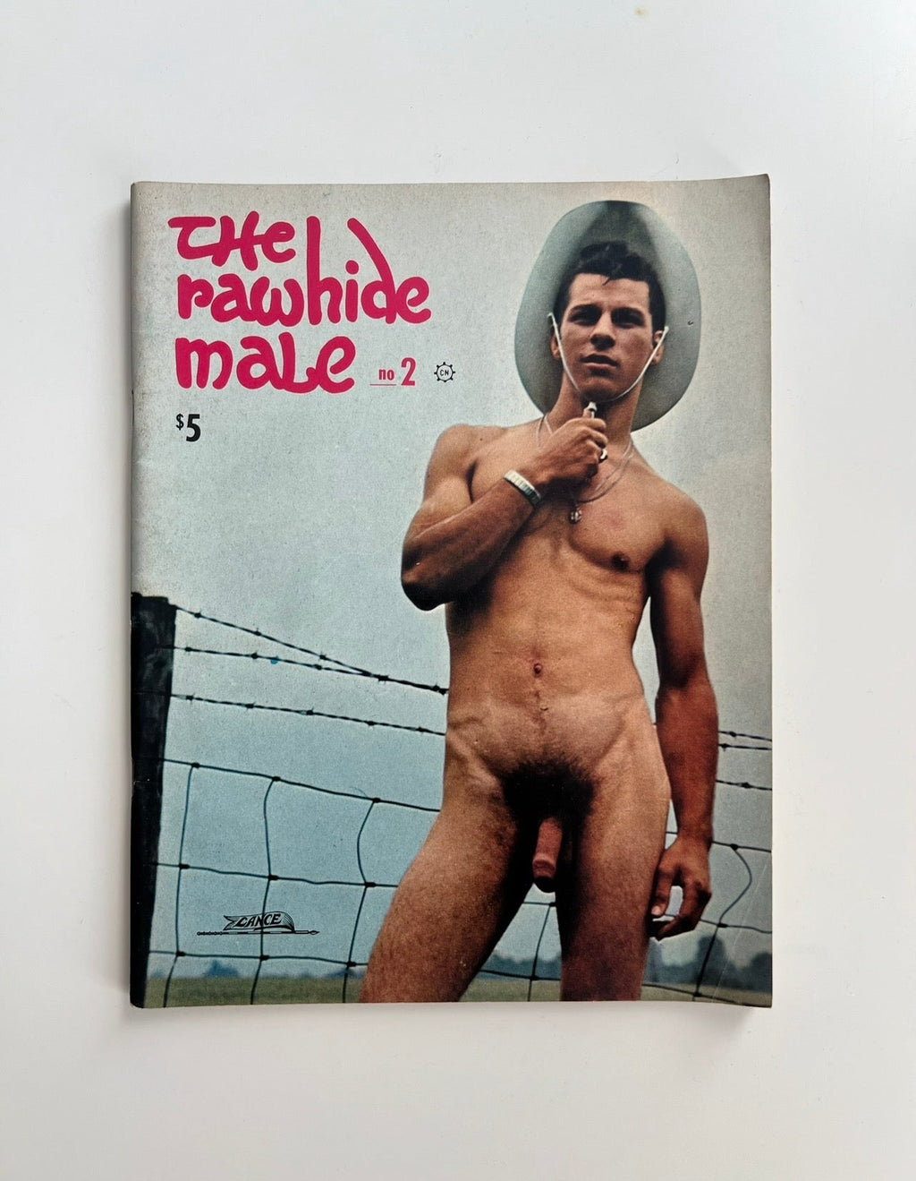The Rawhide Male No. 2, 1968 — cover with a man in a pale hat at a barbed-wire fence