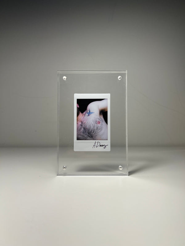 Albert Daag, swallows, 2024