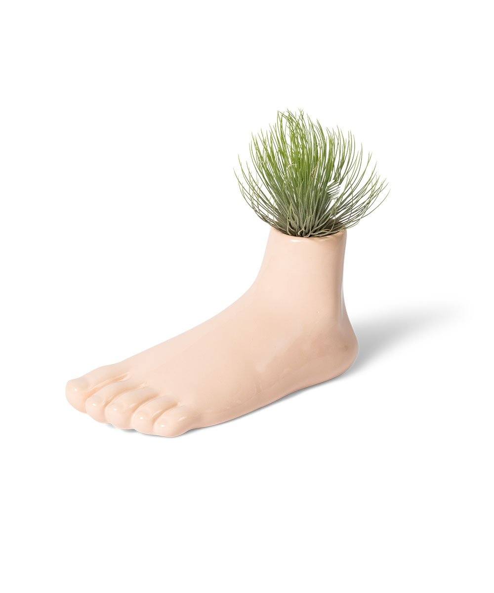 Curious Foot-Shaped Pedestal by David Shrigley x Third Drawer Down