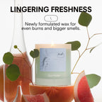SPA WATER by BOY SMELLS