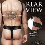 Harness and buckles detail