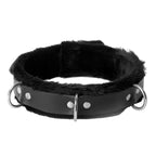 Strict Leather Narrow Fur Lined Locking Collar