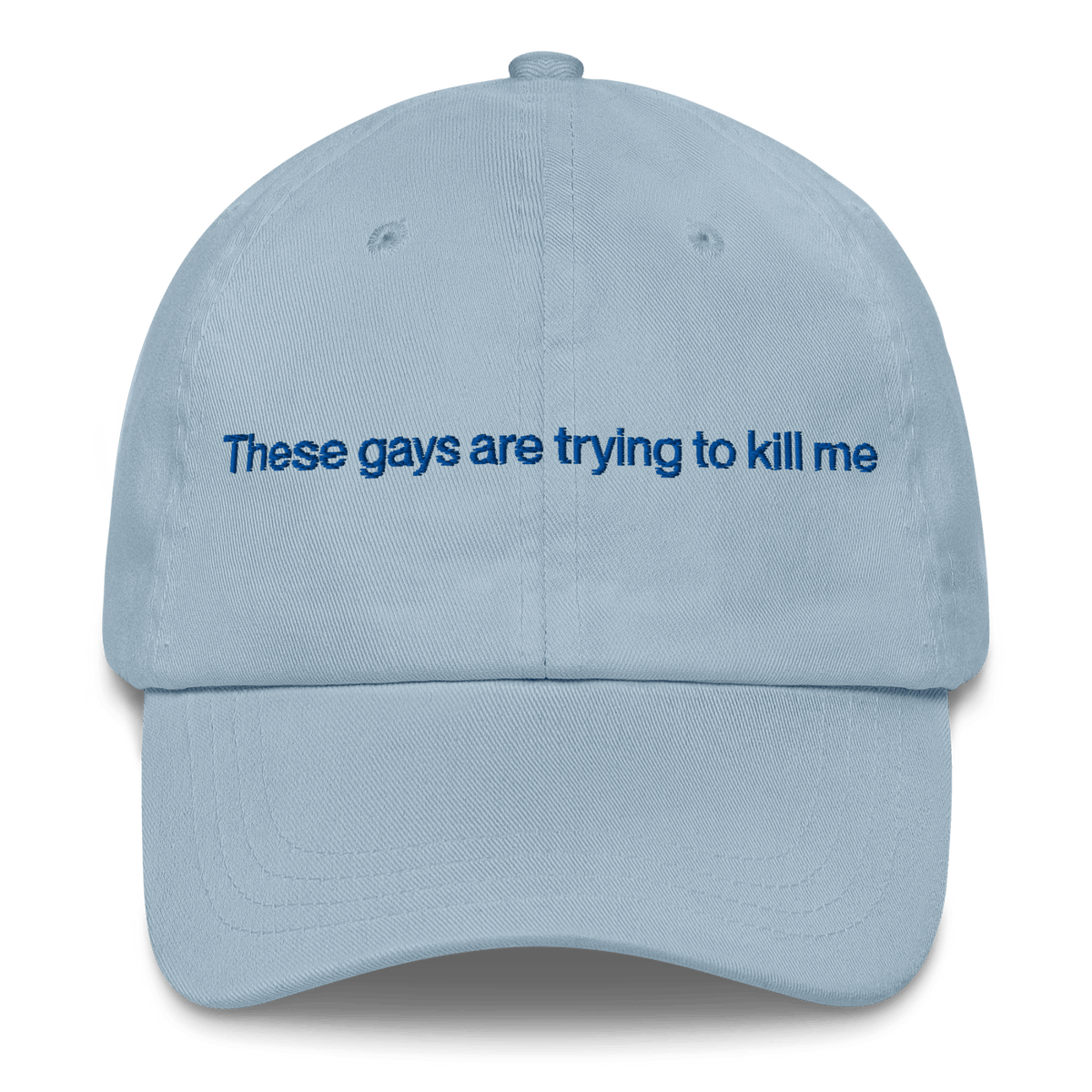 These Gays Are Trying To Kill Me Hat