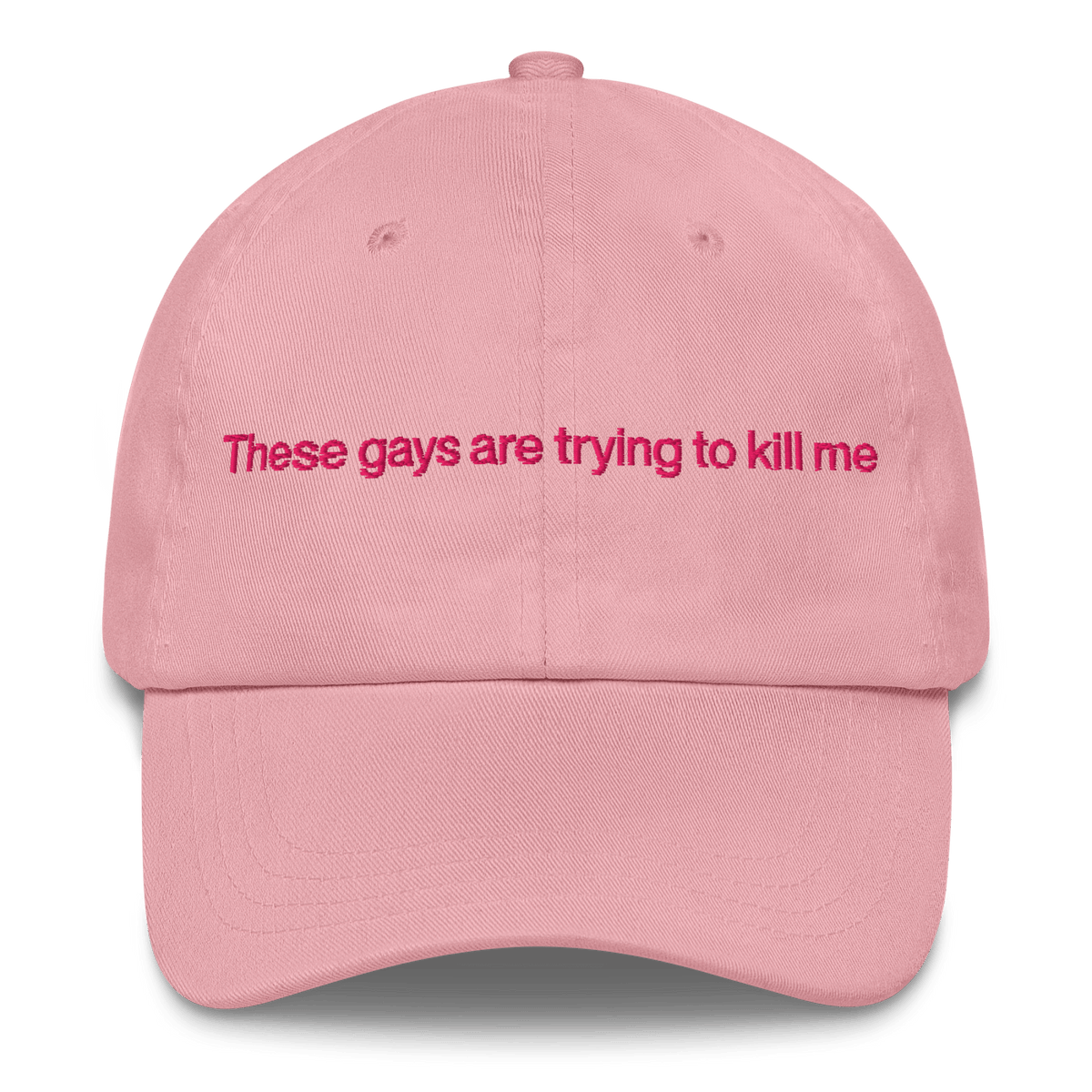 These Gays Are Trying To Kill Me Hat