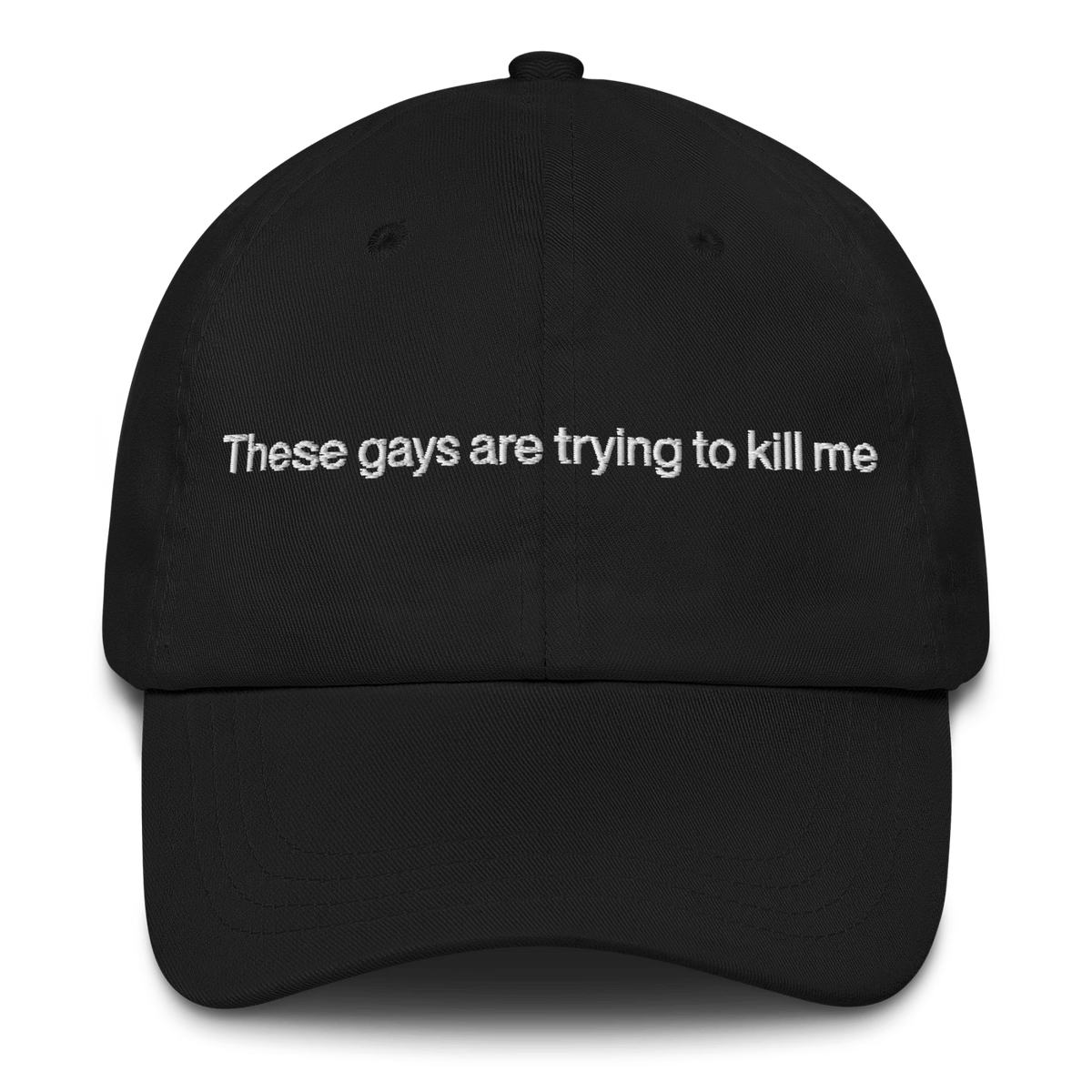 These Gays Are Trying To Kill Me Hat