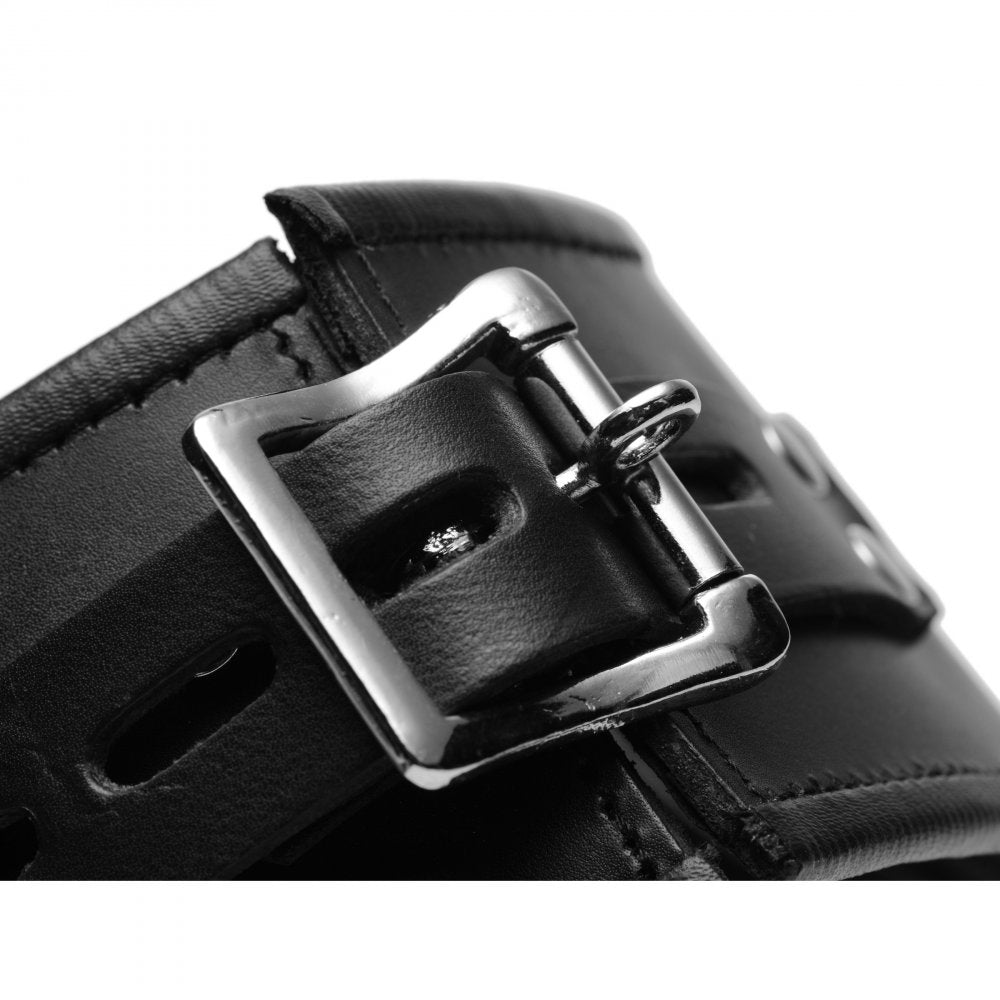Strict Leather Padded Leather Locking Posture Collar