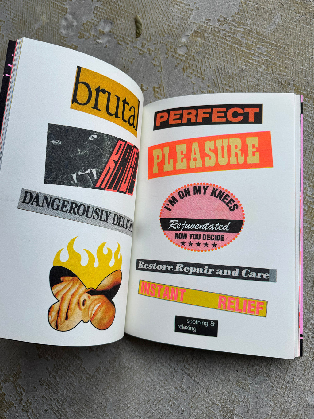 Hattie Stewart: Visual Stimulation