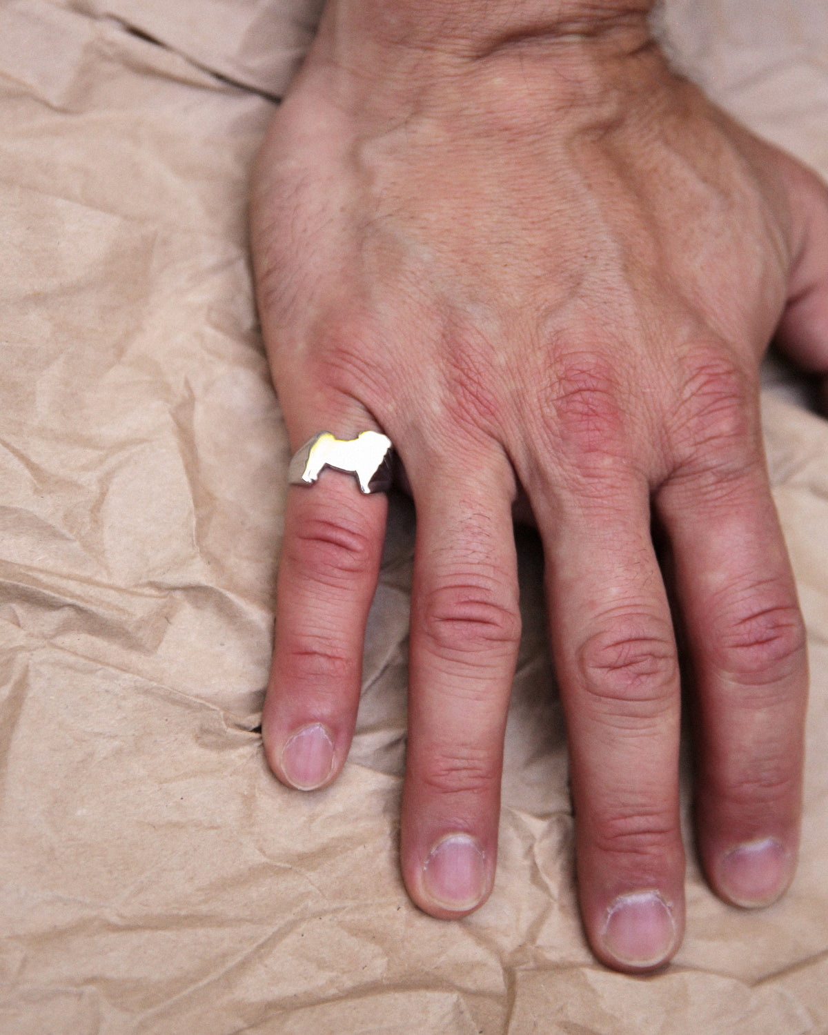 Pug Signet Ring by Jonathan Johnson