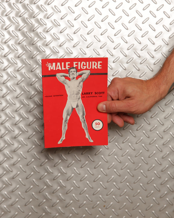 The Male Figure Volume 17