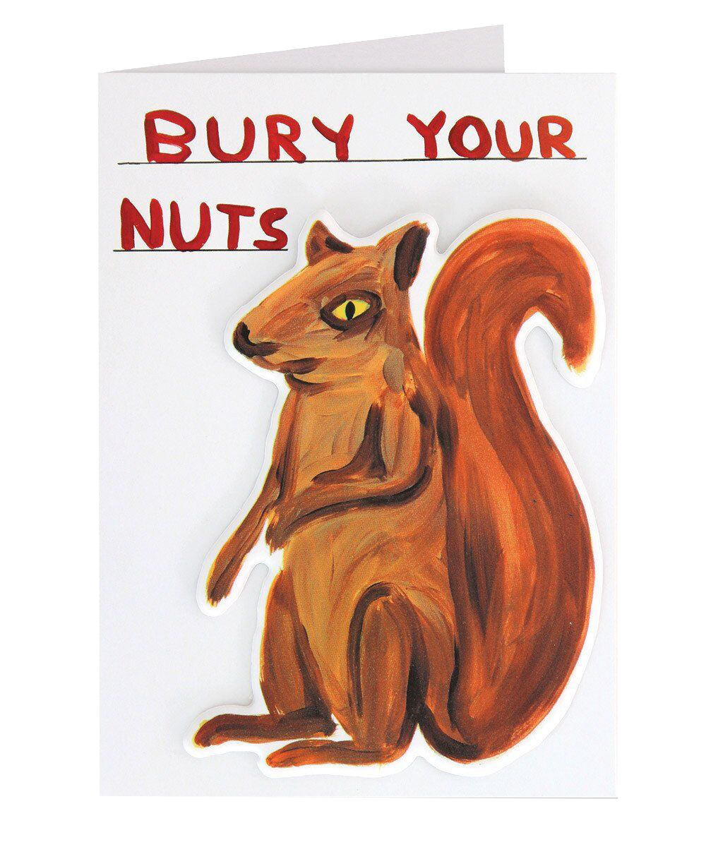 Bury Your Nuts Puffy Sticker Card - Third Drawer Down X David Shrigley
