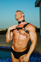 English Bull Dog Harness  by Strict Leather