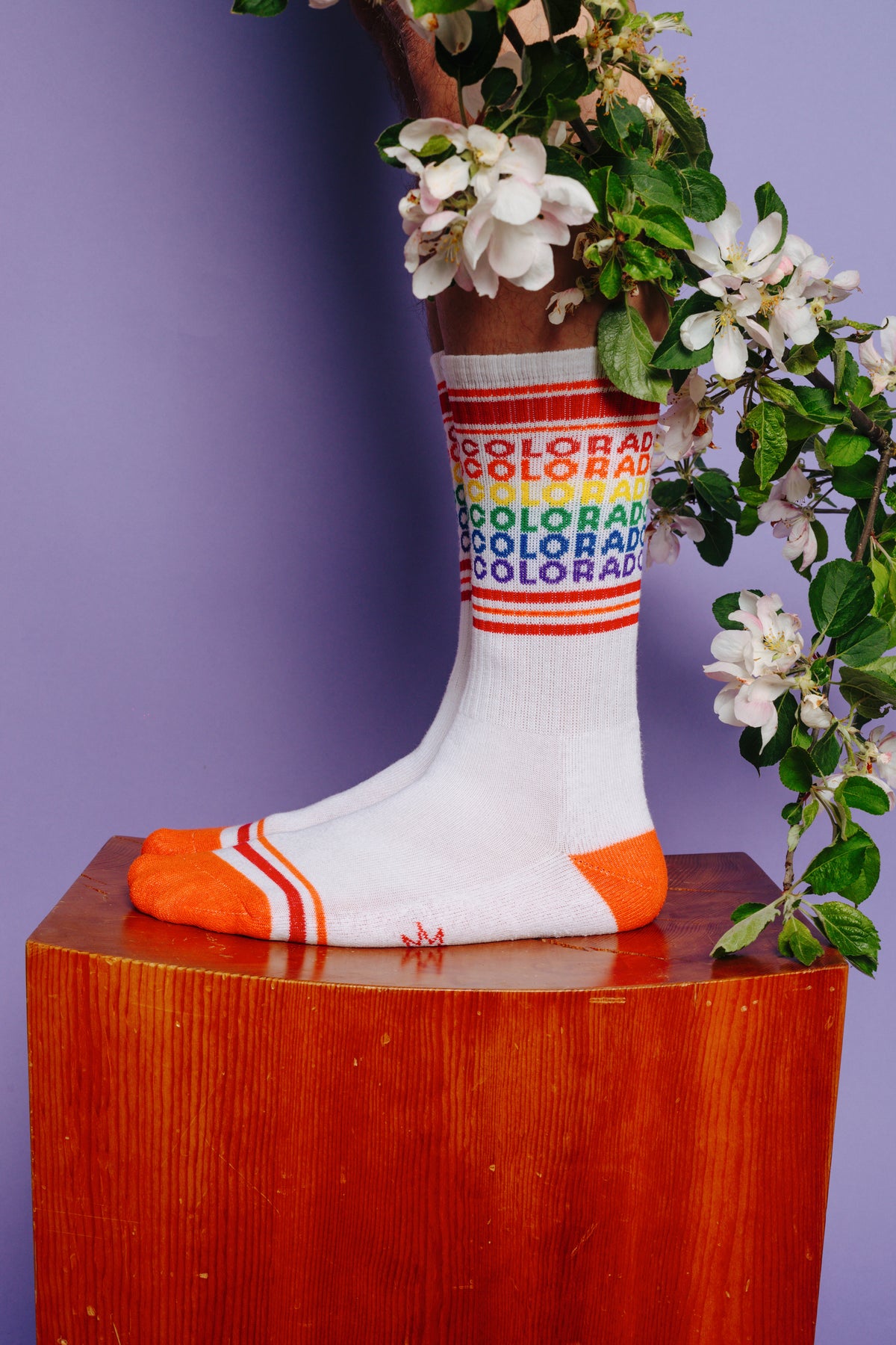 COLORADO GEO-GAY SOCKS