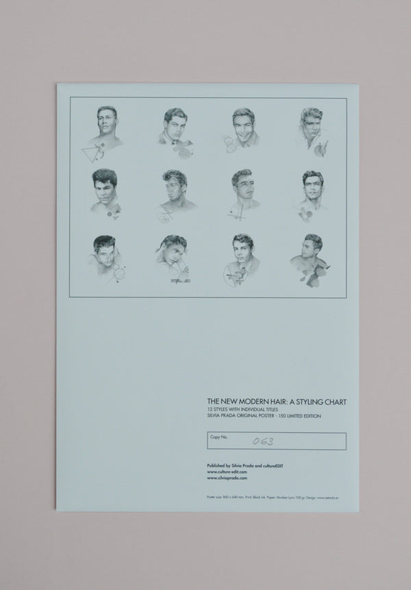 Silvia Prada, The New Modern Hair: A Styling Chart Poster