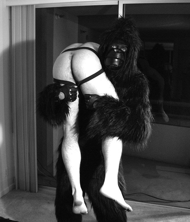 Rick Castro, MY GORILLA, (2015)