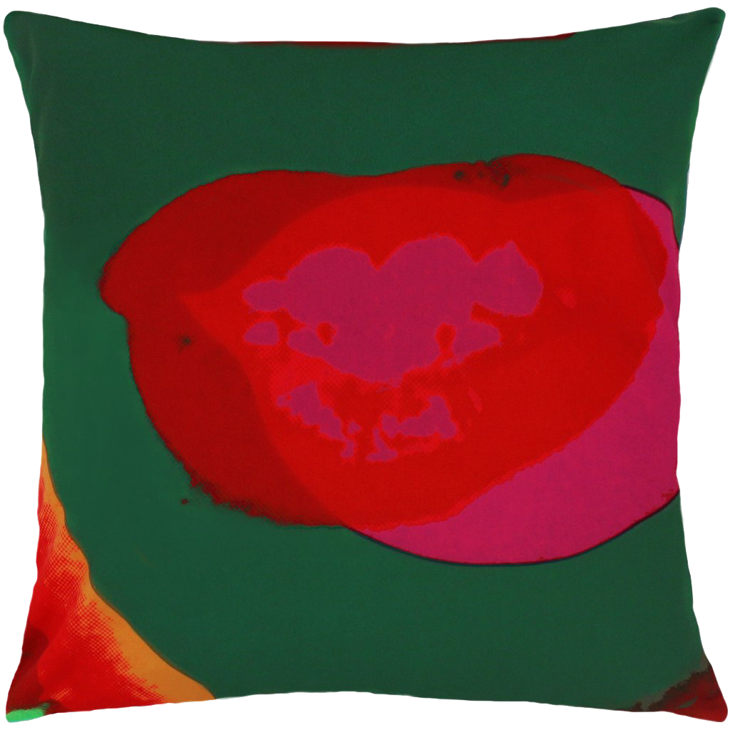Andy Warhol Maquette Detail Pillow for Henzel Studio
