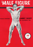 The Male Figure Volume 17