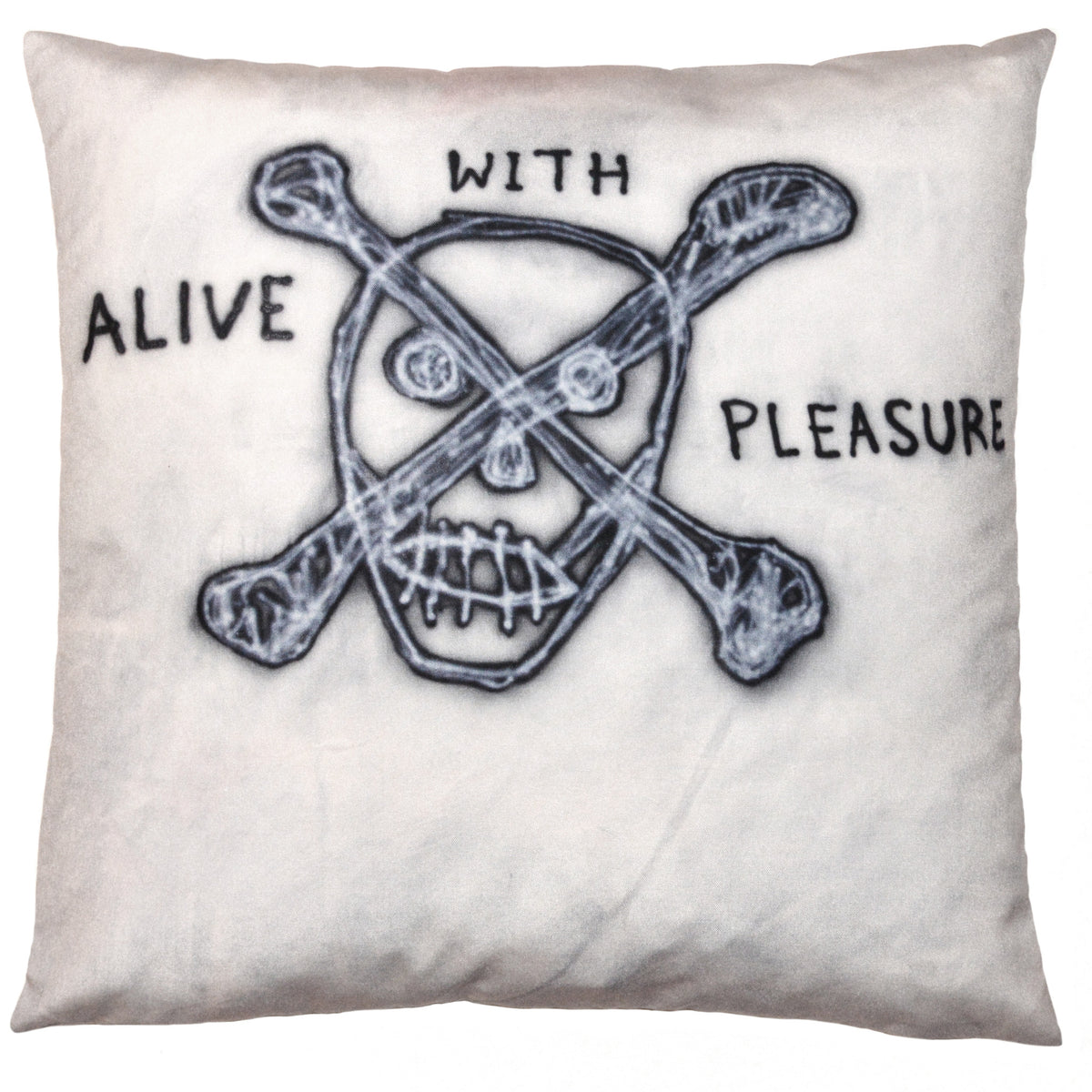 Scott Campbell Pillow for Henzel Studio