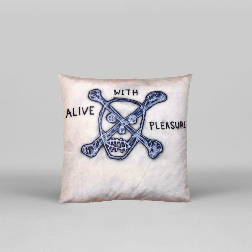 Scott Campbell Pillow for Henzel Studio