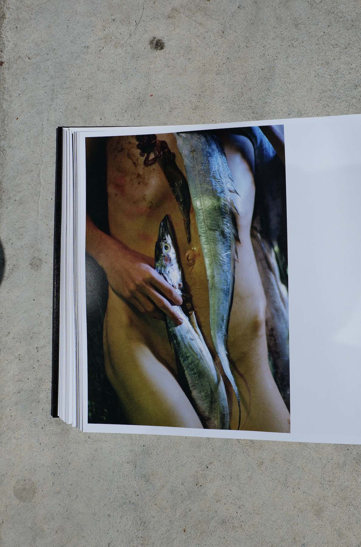 TO DIE ALIVE by Matthew Leifheit