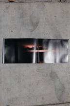 TO DIE ALIVE by Matthew Leifheit