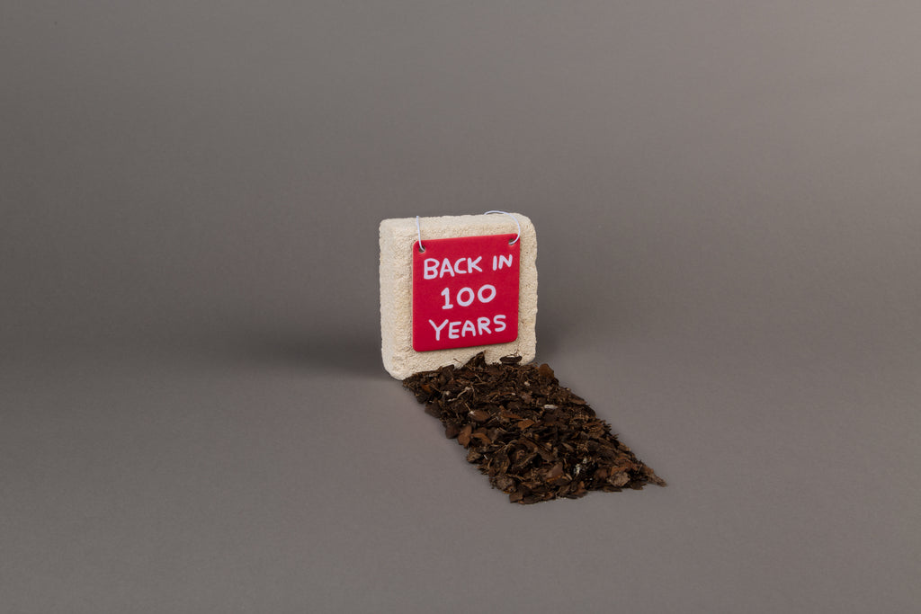 Back In 100 Years Air Freshener Third Drawer Down X David Shrigley