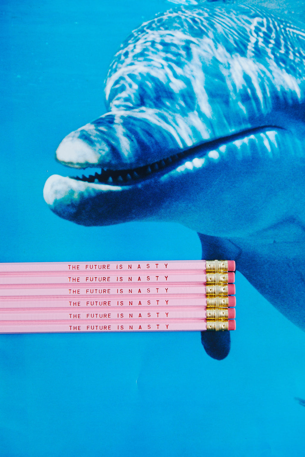 THE FUTURE IS N A S T Y Pencil Set by Rhino Parade