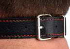 Silicone Bit Gag  by Strict Leather