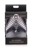 Master Series Sin Spheres Silicone Magnetic Balls