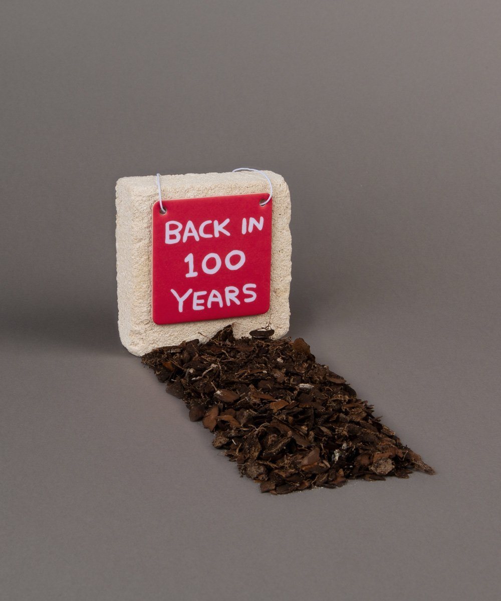 Back In 100 Years Air Freshener Third Drawer Down X David Shrigley