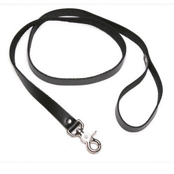 4 Foot Leash by Strict Leather