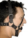 Leather Ball Gag Harness by Strict Leather